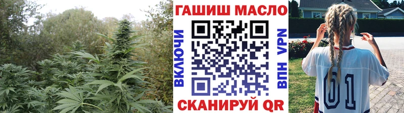 где купить наркотик  Вихоревка  Дистиллят ТГК THC oil 